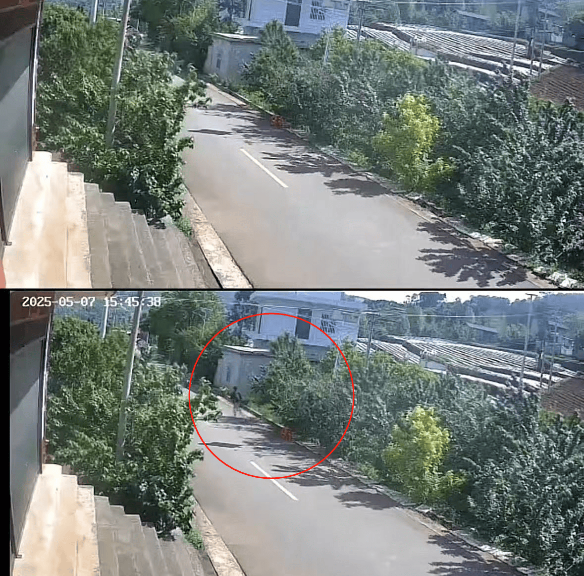 皇冠登3代理申请
_老人摘十斤樱桃摆路边被人顺走皇冠登3代理申请
，家属发布监控画面曝光：已报警，不要赔偿要态度
